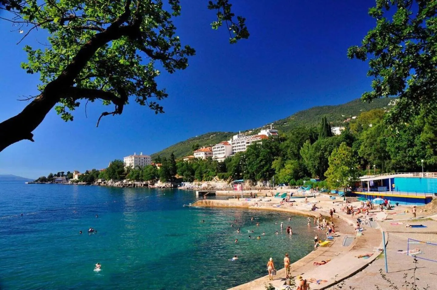 Apartment Miriam - 200M From Beach Ika